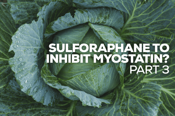 Sulforaphane to Inhibit Myostatin? 3