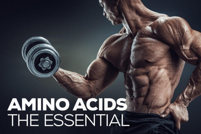 Amino Acids- The Essentials
