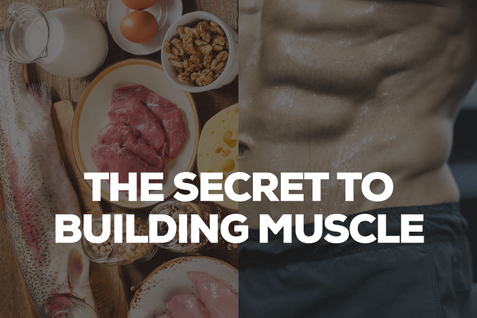 The Secret to Building Muscle