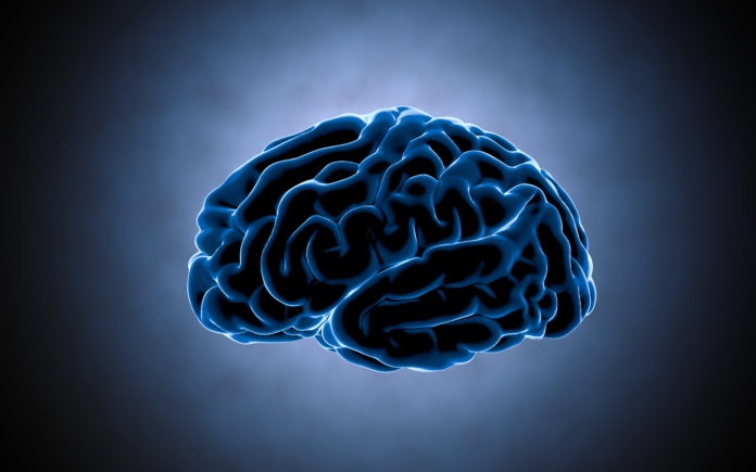 Alpha GPC: The Anabolic Nootropic