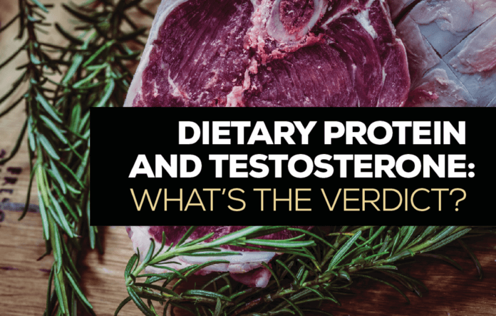 Dietary Protein and Testosterone: What’s The Verdict?